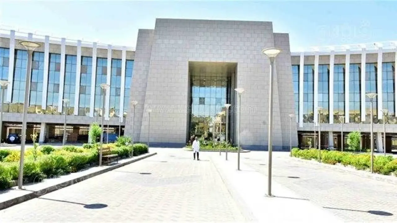 مصر تجرى استئصال ورم بالمخ بالموجات فوق الصوتية لأول مرة
